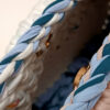 BLOOM - Imagen 6